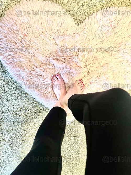 Princess wants new pups step forward if you dare. 👑🤭 by belleincharge00