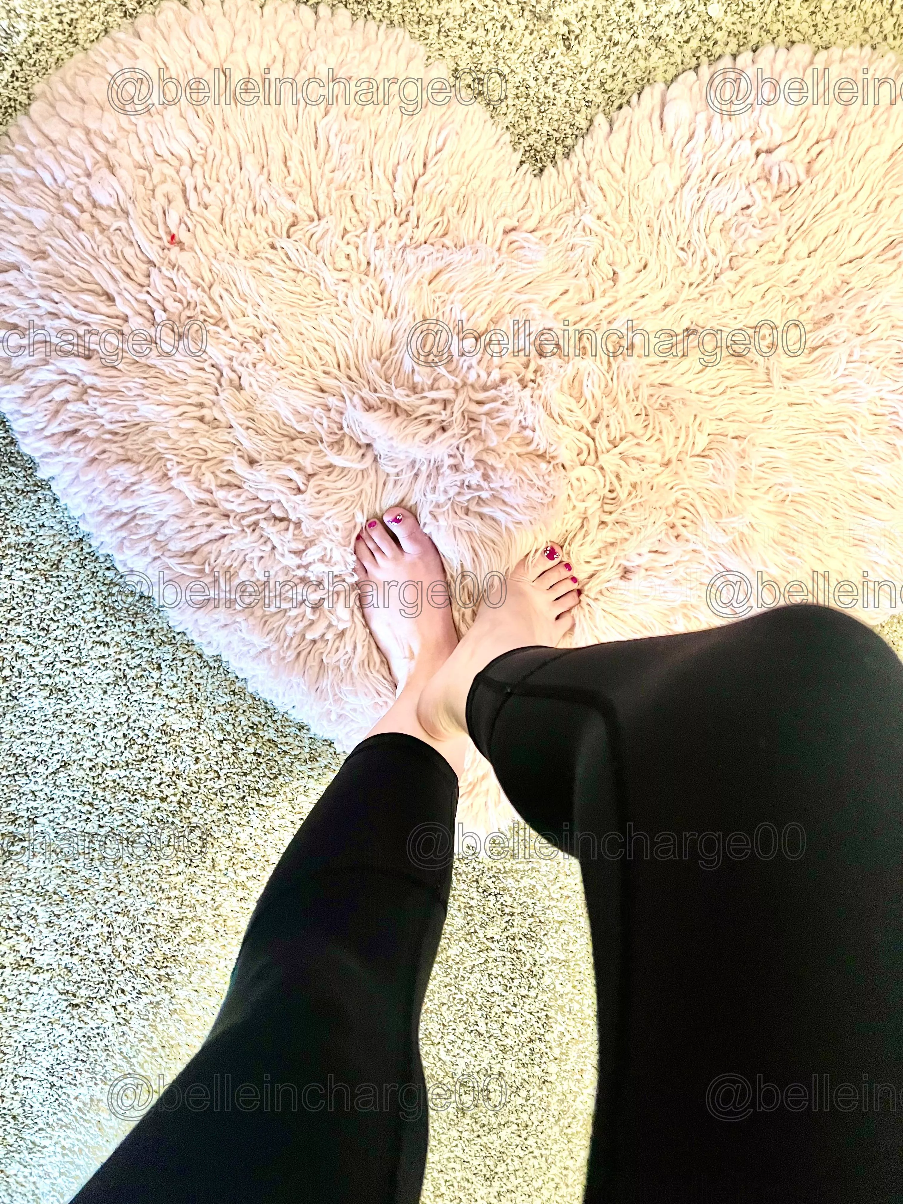 Princess wants new pups step forward if you dare. 👑🤭 posted by belleincharge00