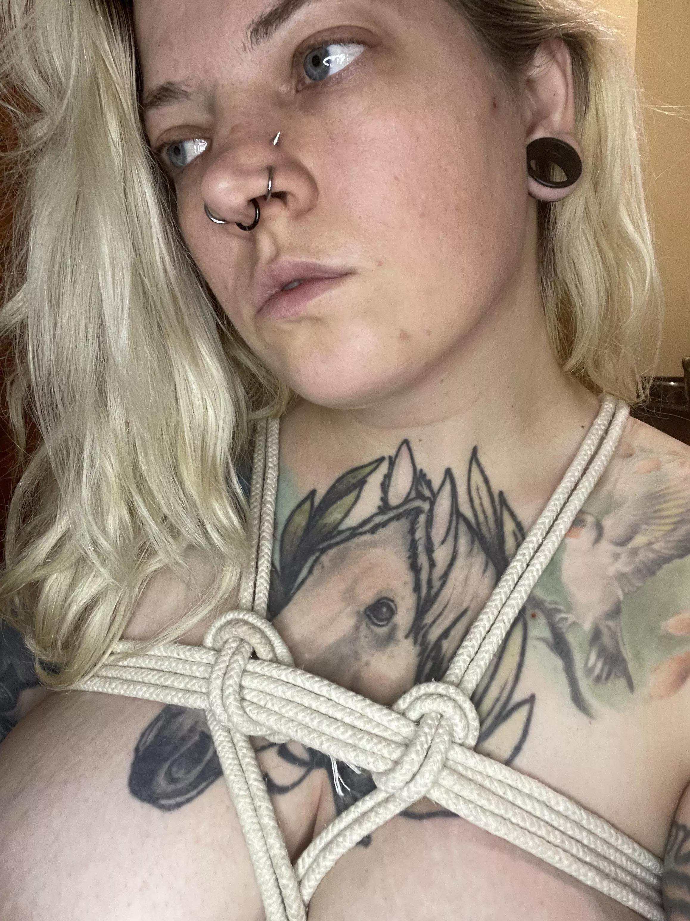 Rope things posted by Efficient-Papaya-489