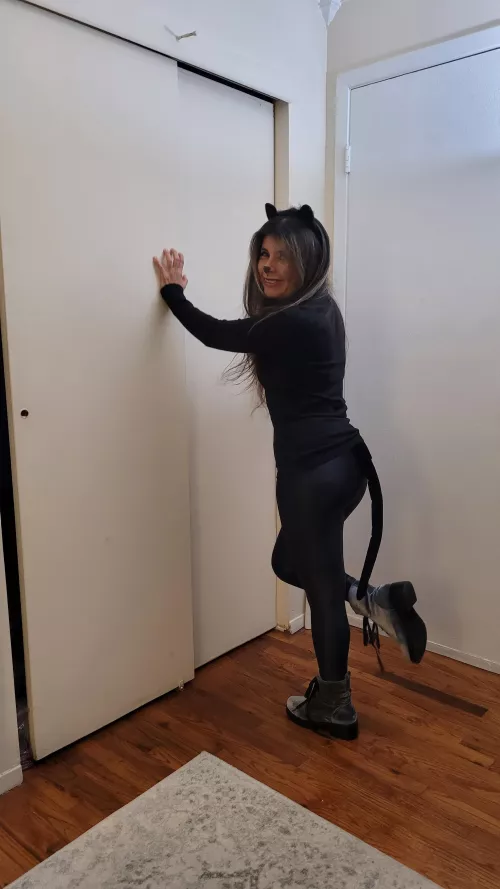 This Kitty wants 🍬 and 🍭  by FrankSilvyNY