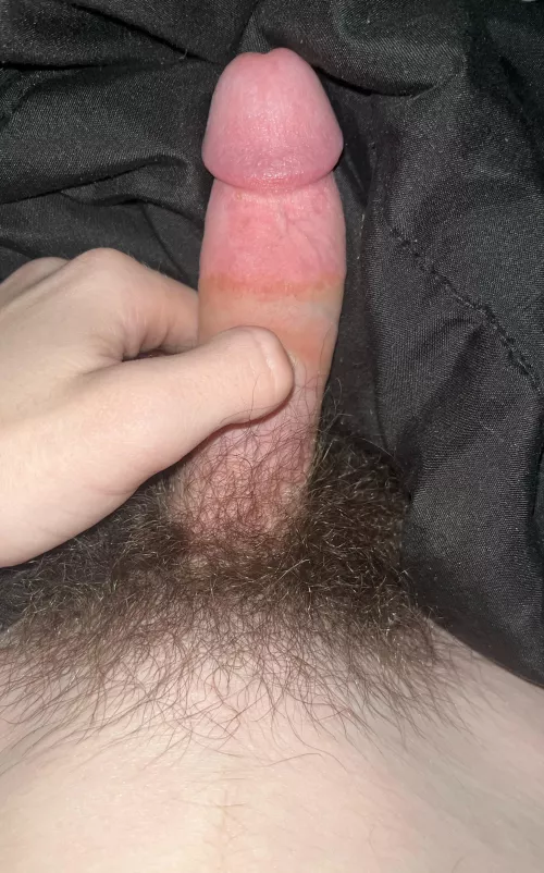 (18) new to posting lol. Have never trimmed before, should I? by AdvancedIndication59