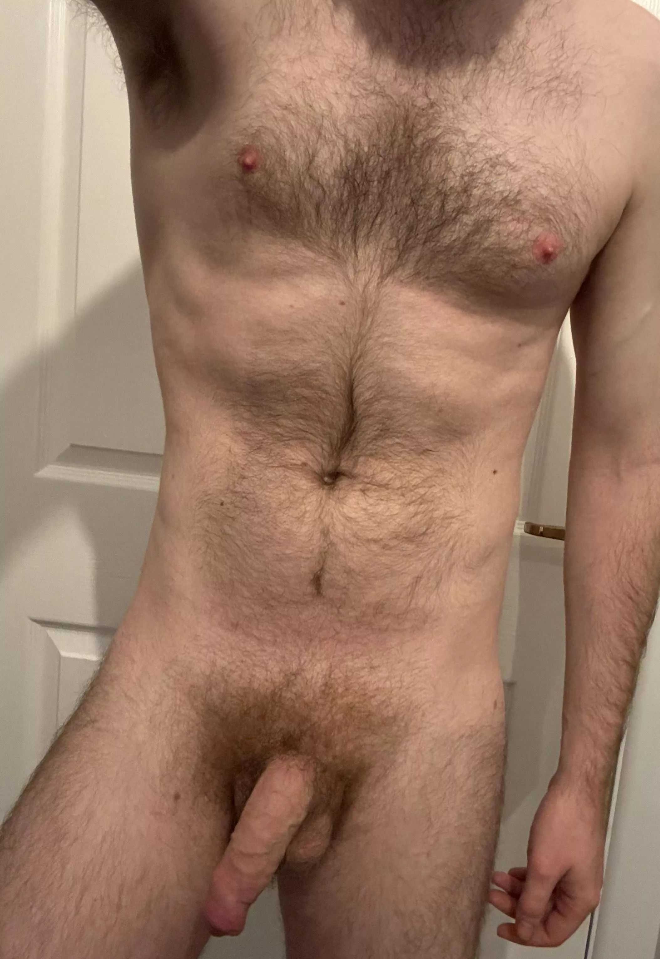 40. Quite the ginger bush growing at the minute. Say hi? posted by hairyplumz