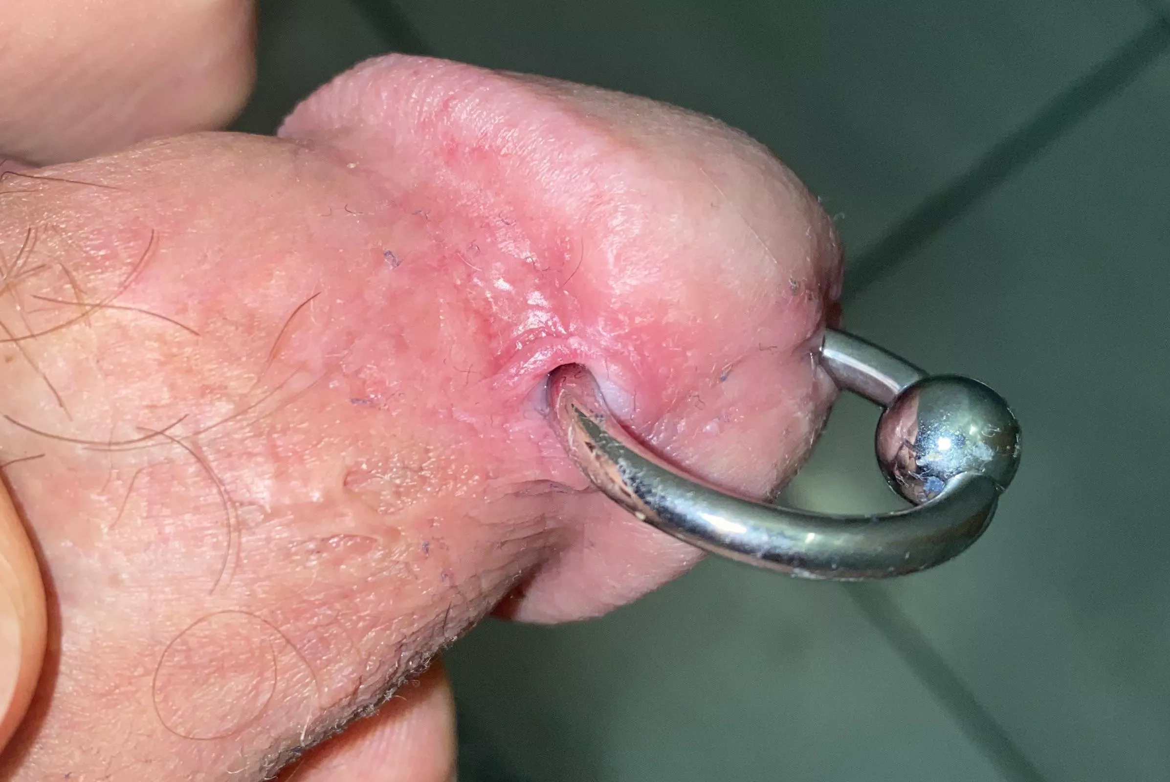 8g PA & 6g chastity cage posted by Entire_Problem_5266