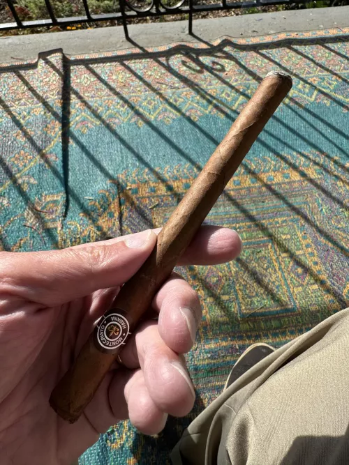 Beautiful Montecristo Especial on a gorgeous morning here on an expectant and upbeat Capitol Hill by Mammoth_Spread3423