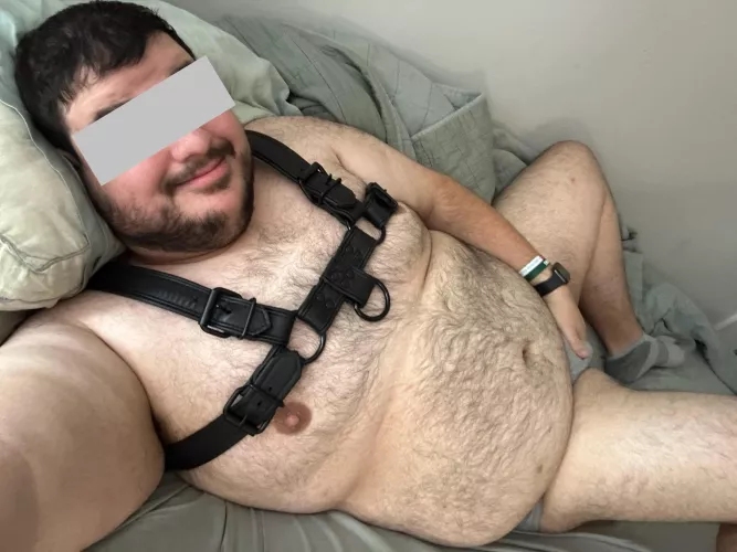 Need to get ready for work. Would rather play hooky with a bear.  by Icy-War-5310