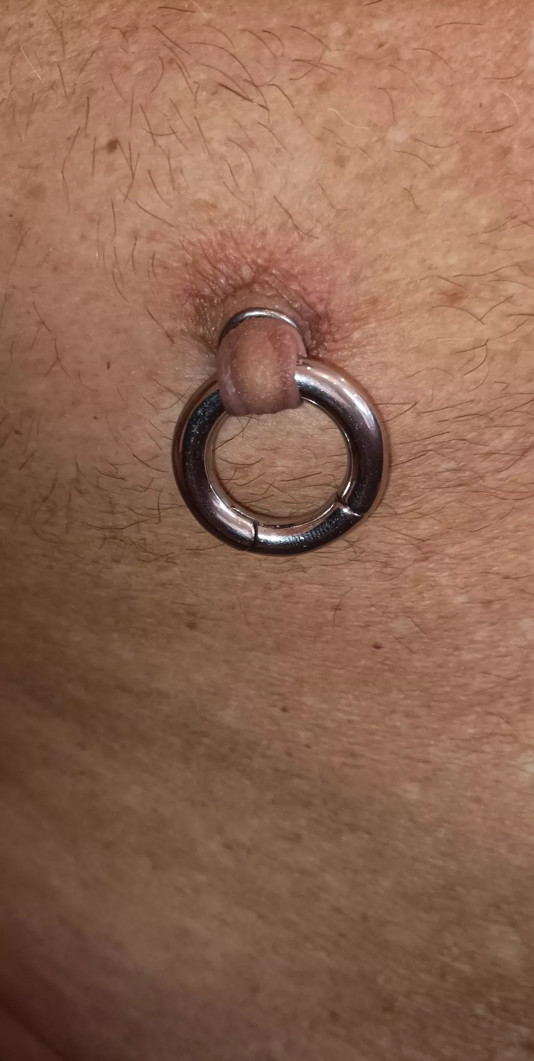 Nippelpiercing posted by HornyHarro