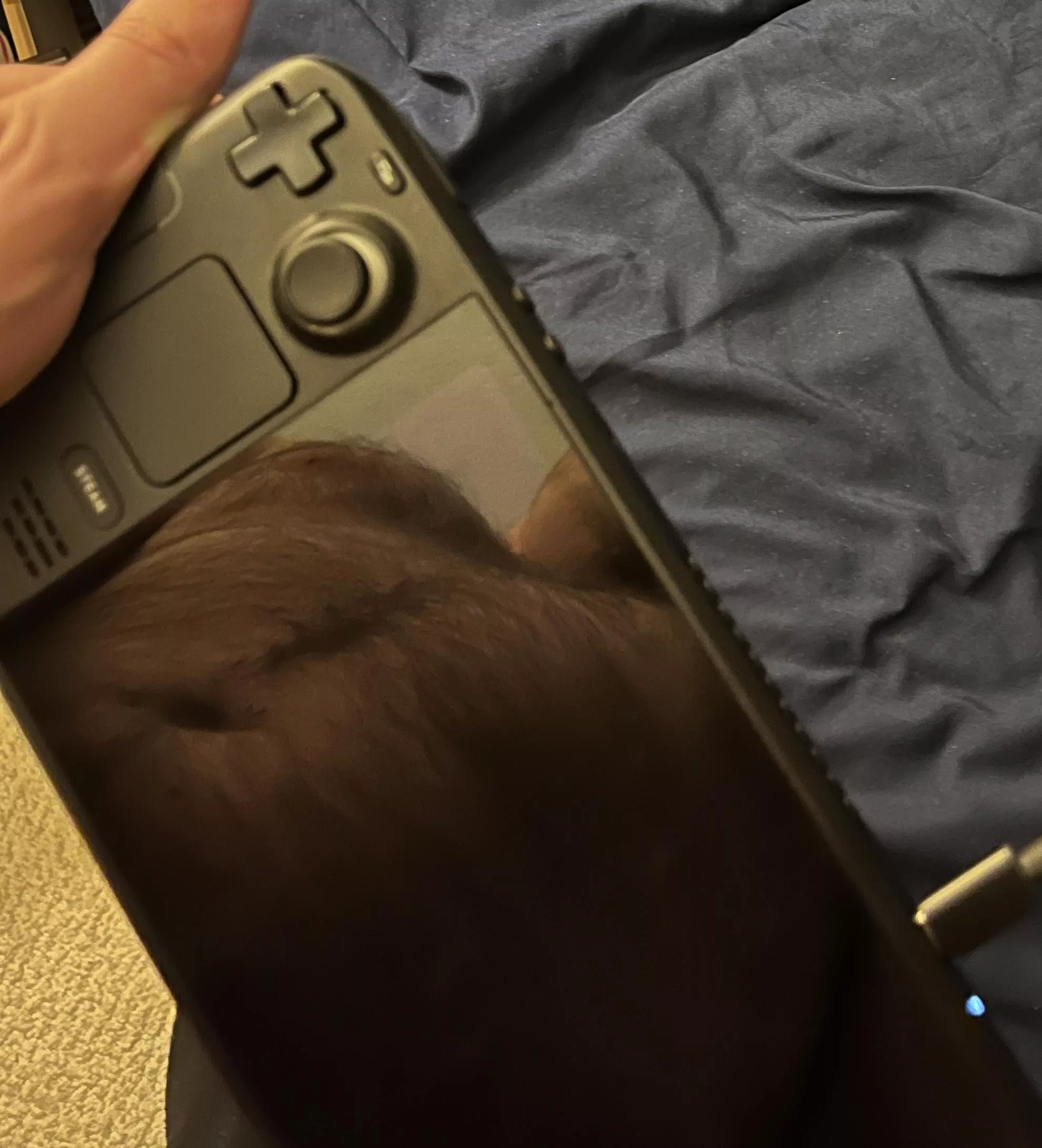 Showing my fur through my steam deck lol posted by OtterPappi