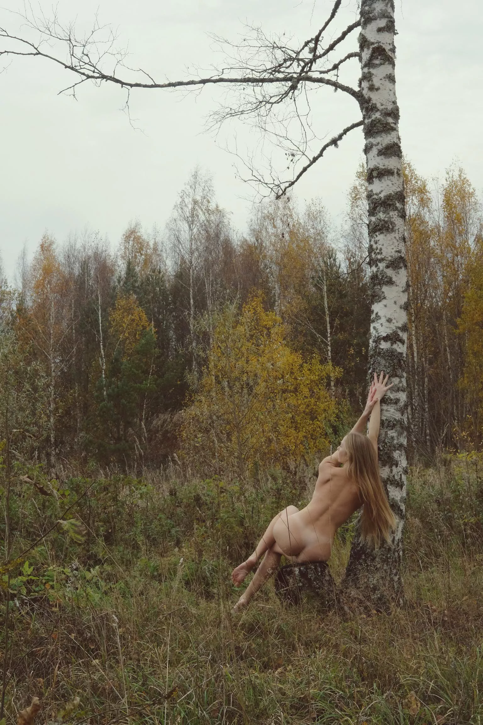 The tree comforts posted by Artanni55