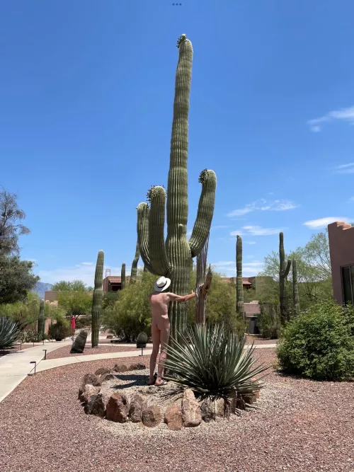 🌵Tree pose Tuesday🌵 by Fickle-Repair486