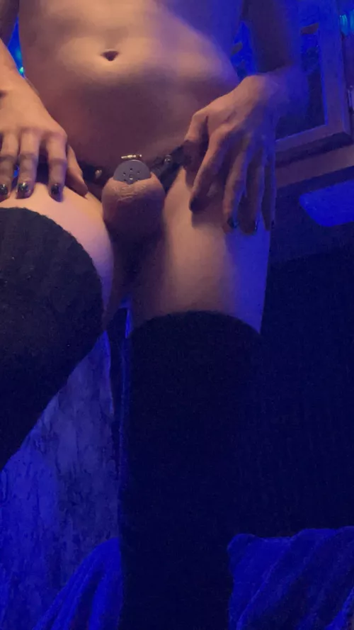 Who doesn’t love a flat cage 😜 by Objective_Muscle4502