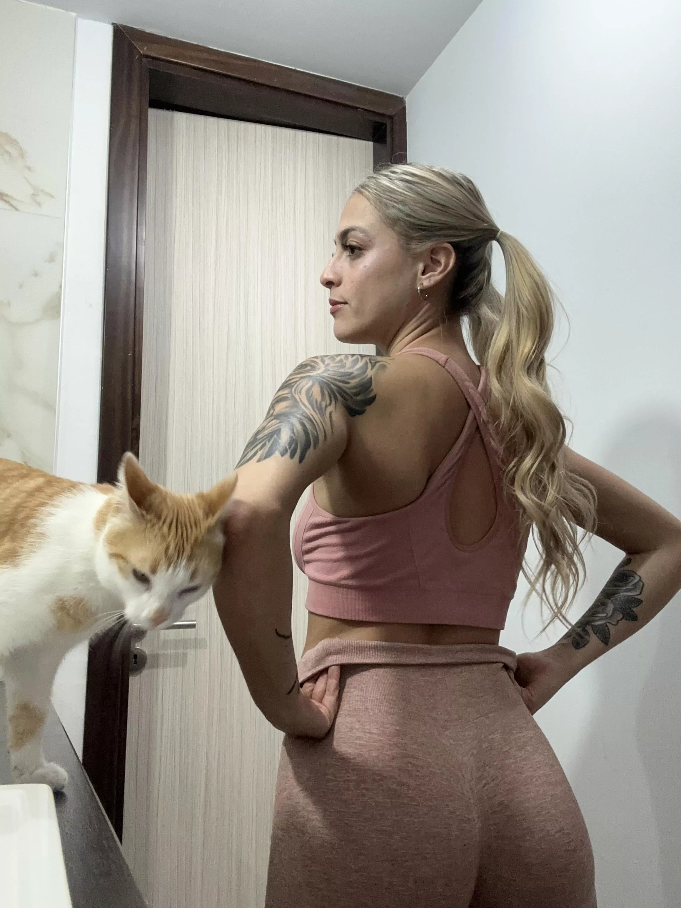 People think girls -who own cats- are crazy , agree? posted by Hot_Bad_626