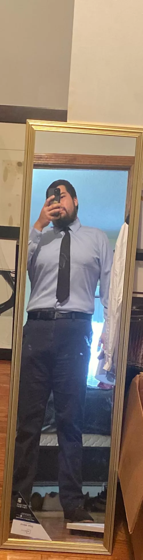 Bull looking  by Yournew_BuLL