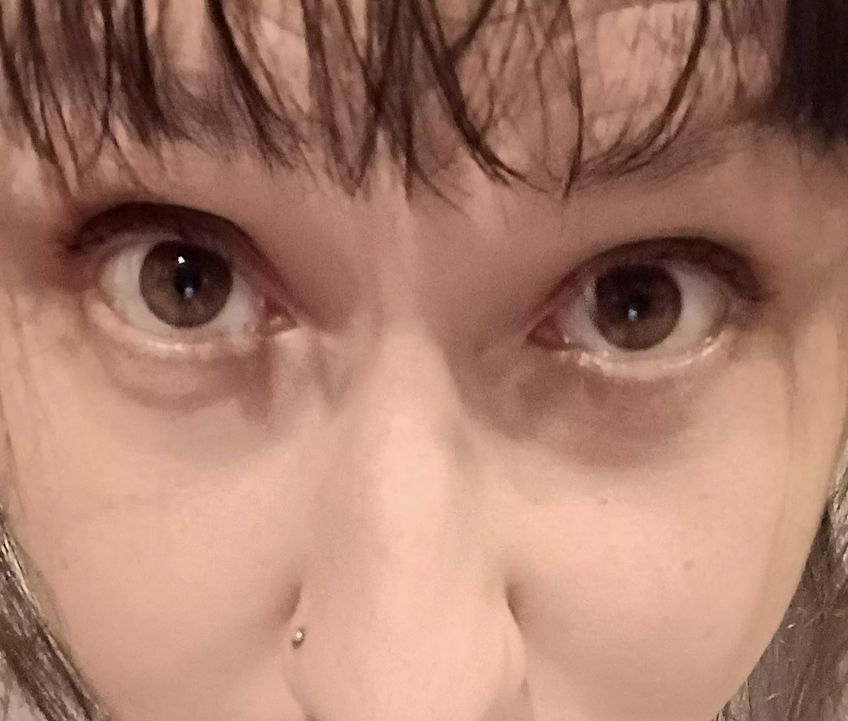 Just lookin up at ya x posted by GodzillasCatgirl