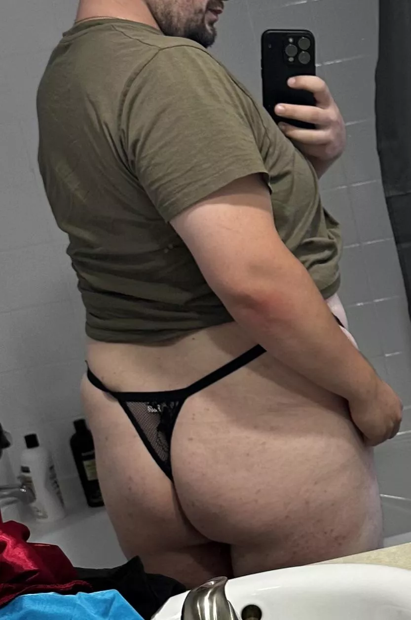 New to the area  posted by Gina-The-Bimbo