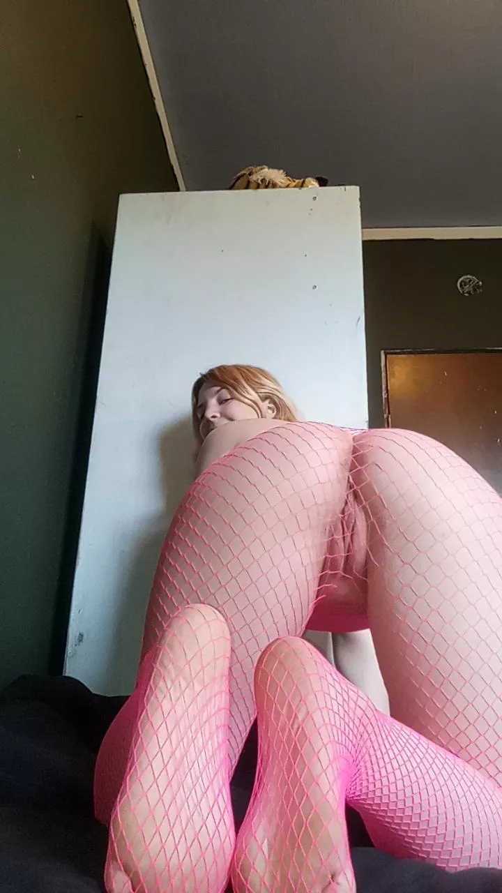you prefer pink fishnets or black basic ones?  posted by skynnywannabe