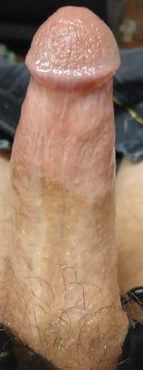 Look how shiny my dick is by animalhero_21