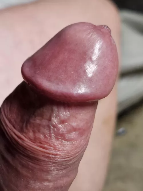 Any girls in the area keen for some fun  by Basic-Ball-4902