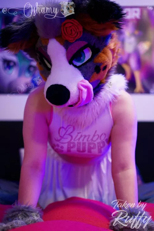 ~ Your puppy is waiting! 😇🥰💋 by Oshamy_the_Furry_YT