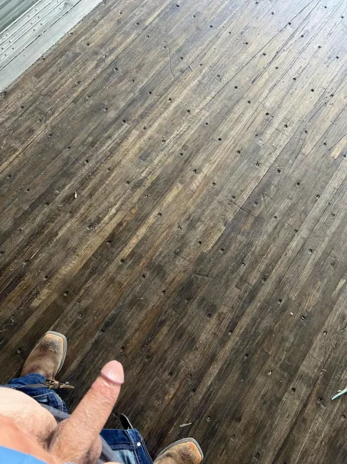 Bwc bull 27m  by CheesecakeLoose849