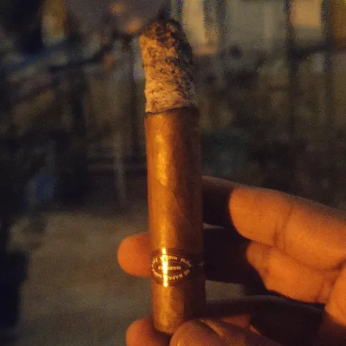 Enjoying this Flor de Rafael Gonzalez Marquez under cloudy skies by quantm_particls