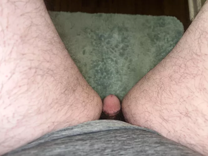 full sized… by Any-Apricot-3210