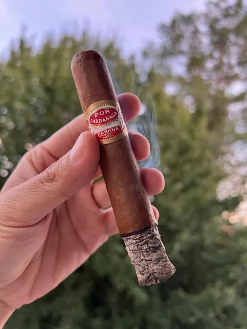 Hunting for some aged Por Larranaga. Any vintage years I should keep an eye out for? by Mezya91