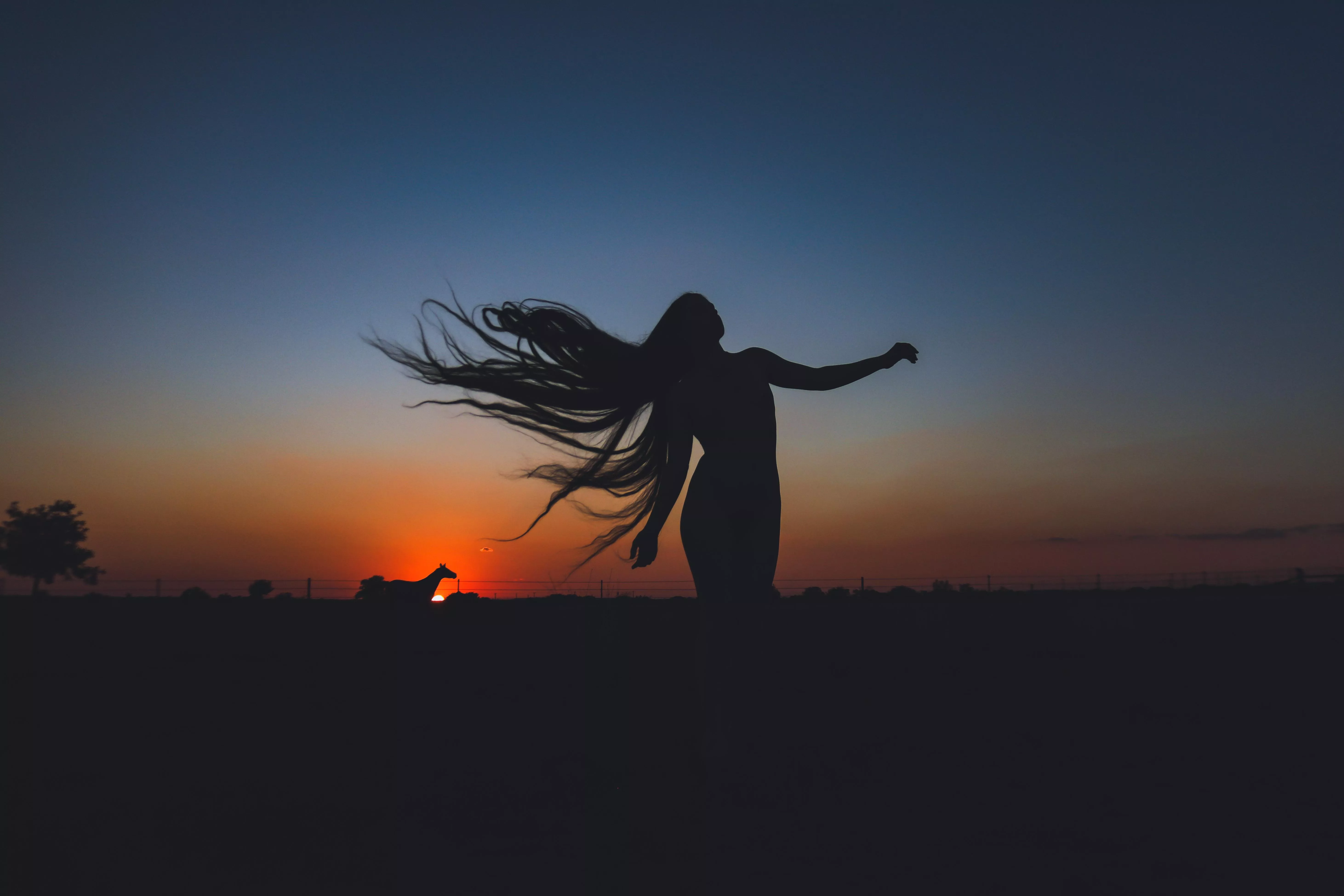 sunset silhouette (self shot) posted by _creature_feature