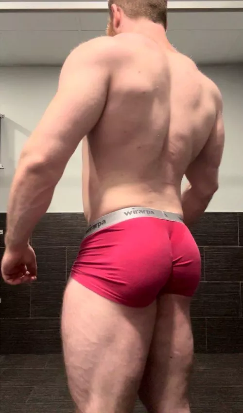 Things have bounced back since the gym break by pec_inspector