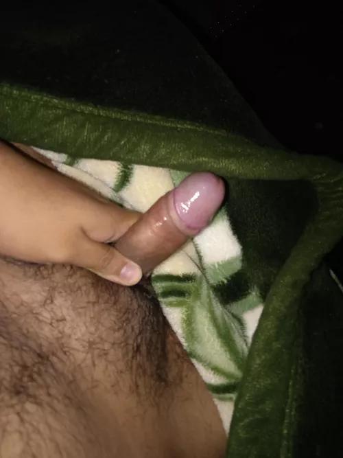 Penecito  by [deleted]