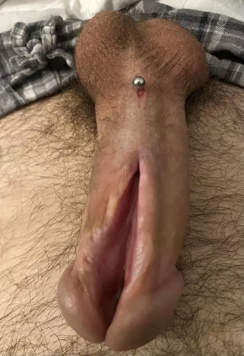 Reroute-Piercing is healing well by Mod1379
