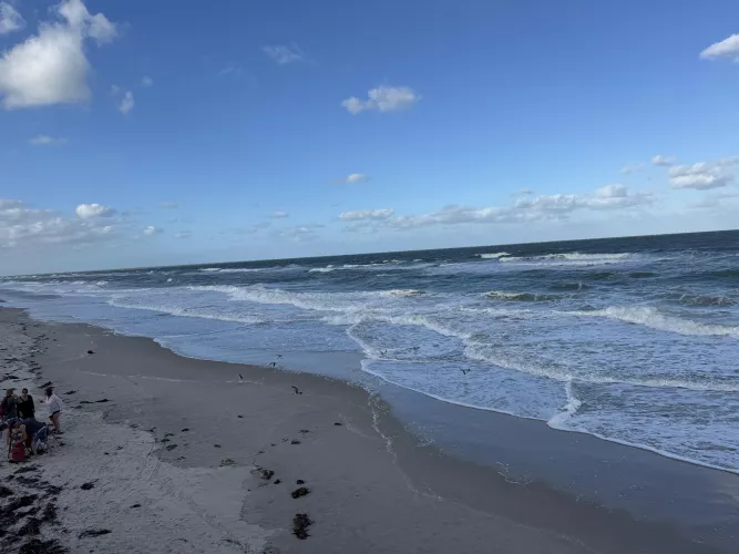 Windy but awesome quiet day  by ComfortableKey865