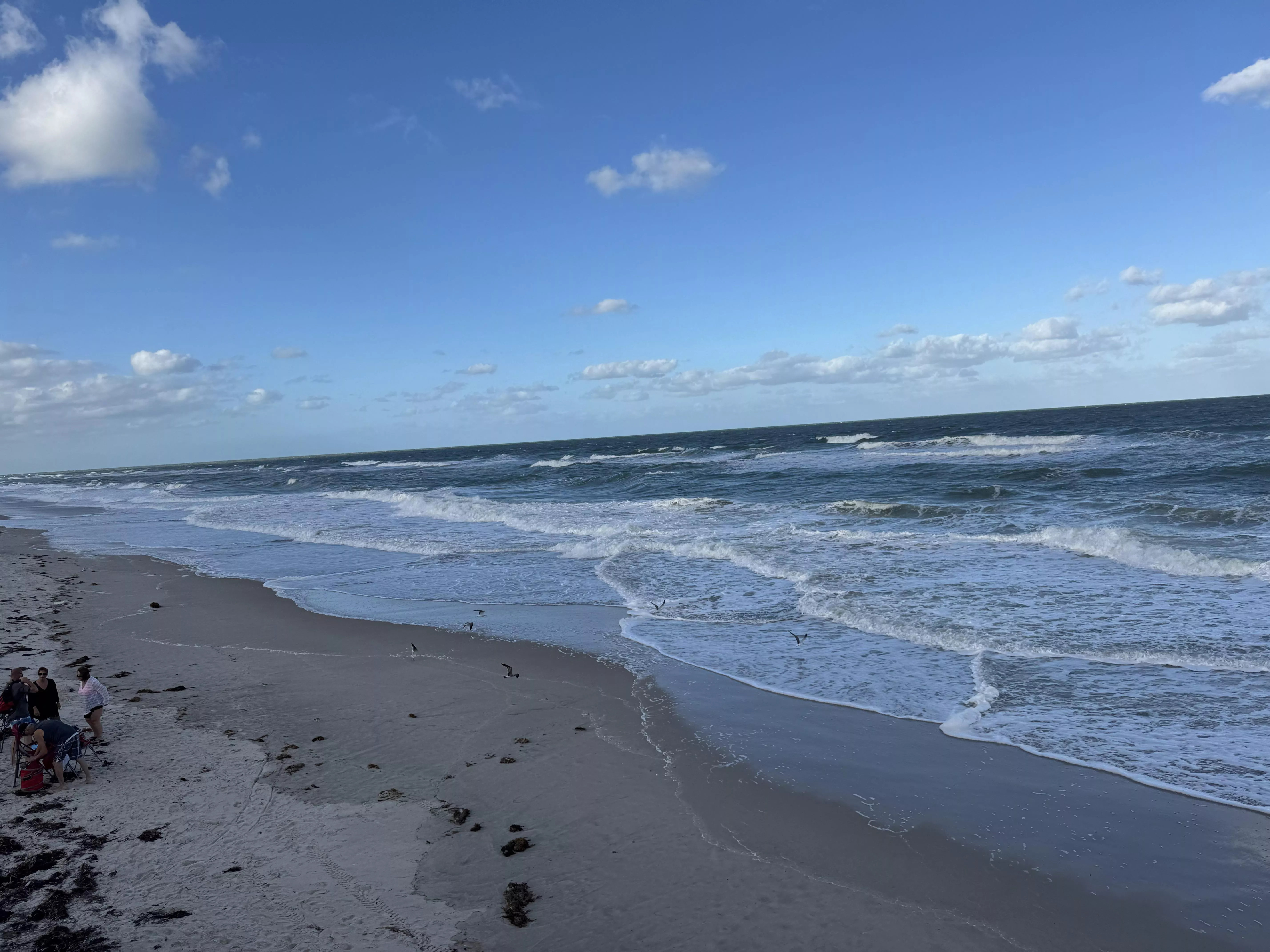 Windy but awesome quiet day  posted by ComfortableKey865