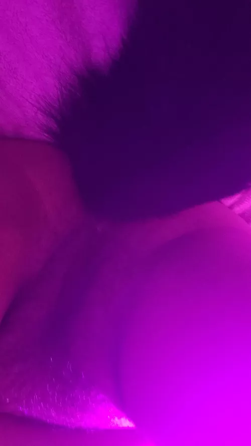 Tail yay I did it by Anemone-san