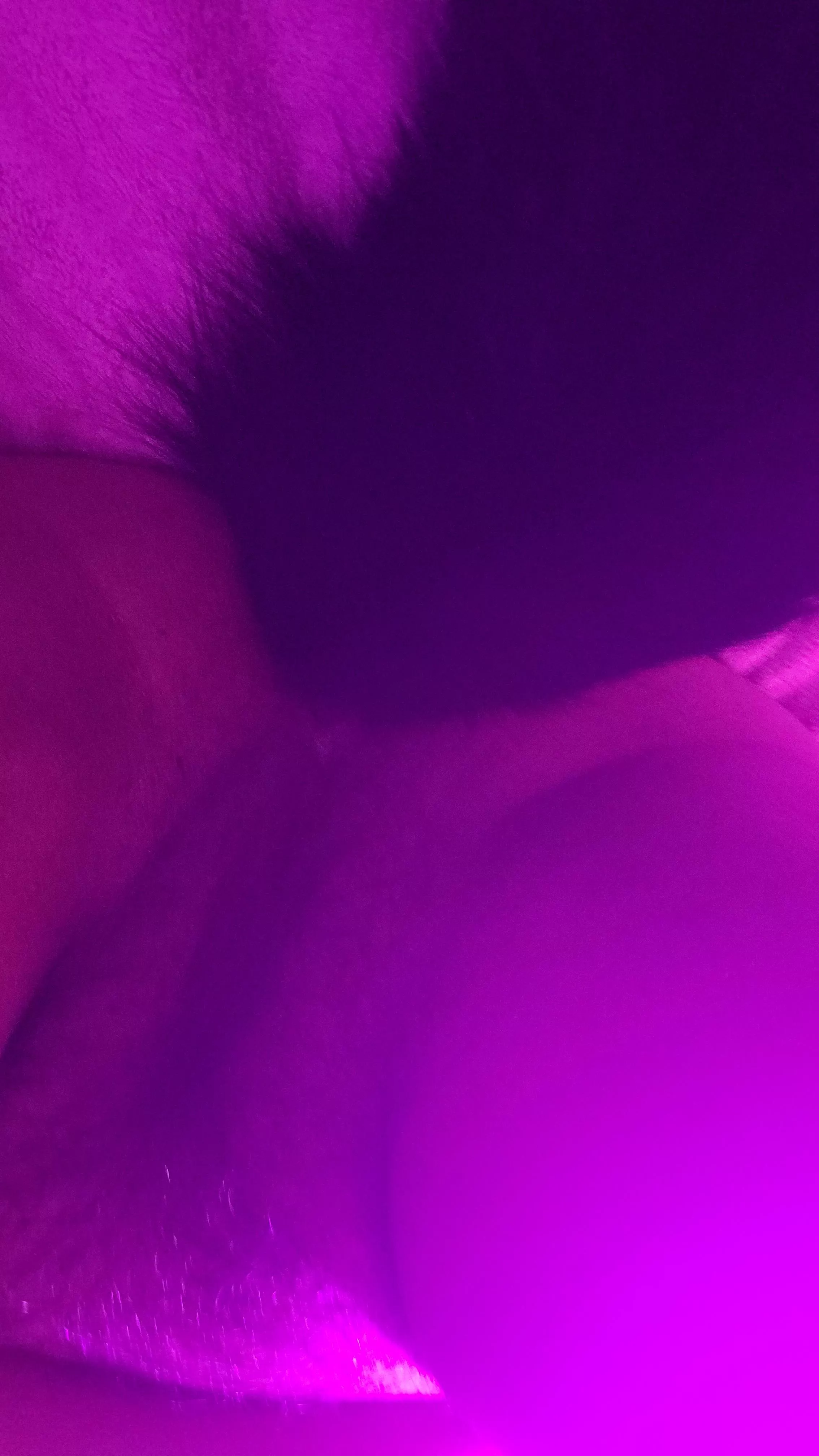 Tail yay I did it posted by Anemone-san