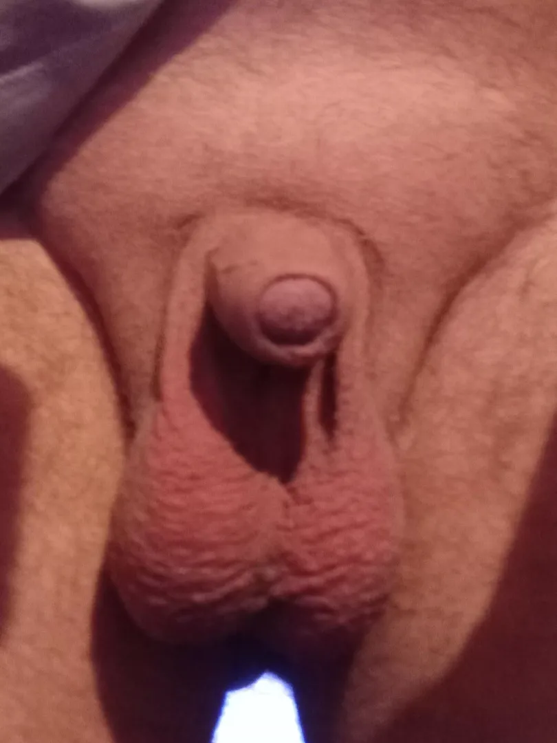 Saggy balls and small cock who likes 🥵 posted by Heavy-Pomelo-1657