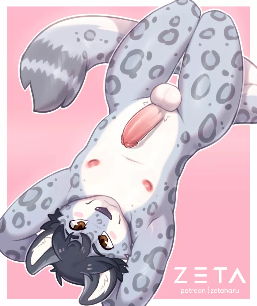 Shy Snep (Zeta-Haru) posted by DL2828