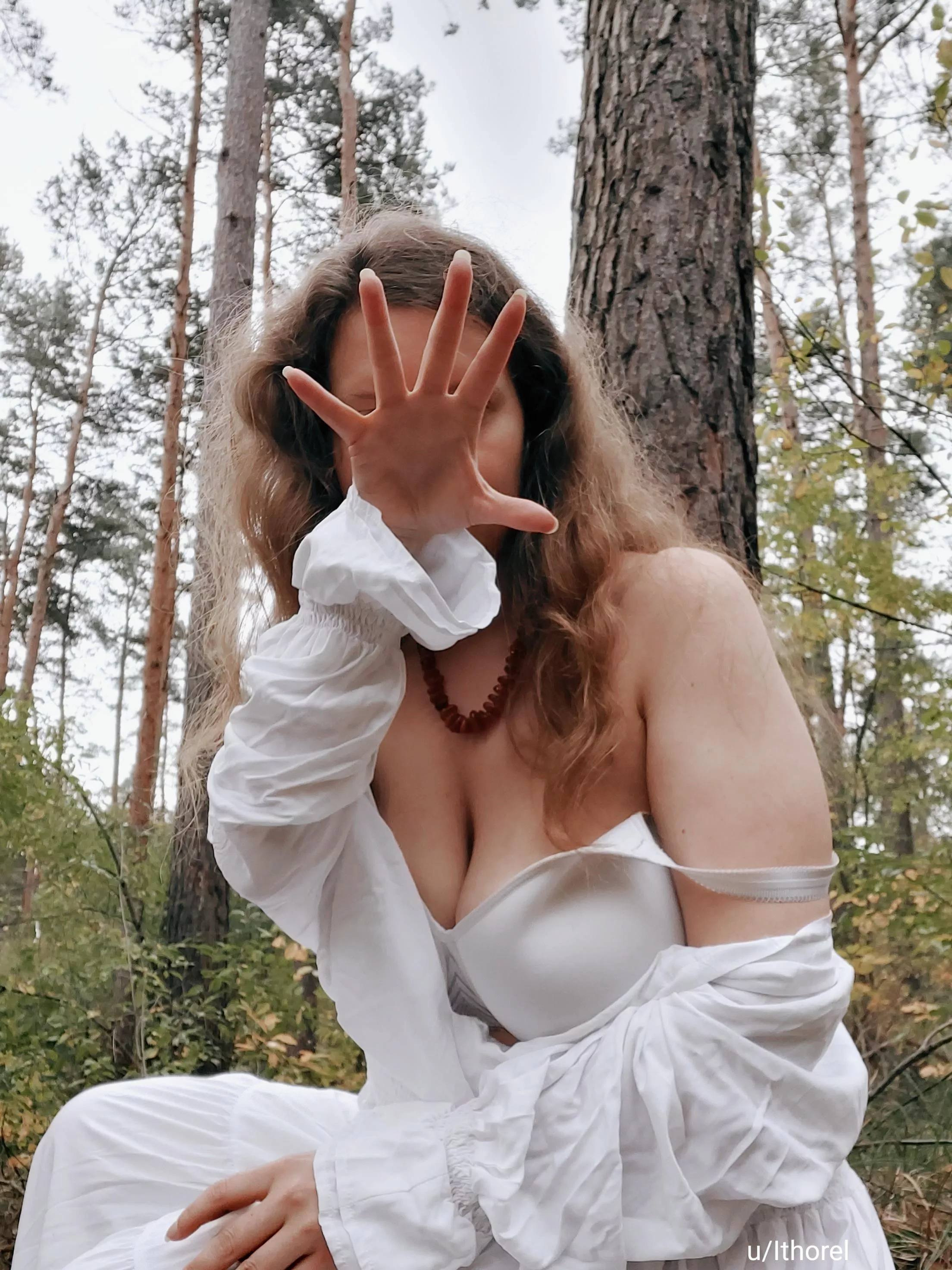 The Forest of Fae  posted by Ithorel