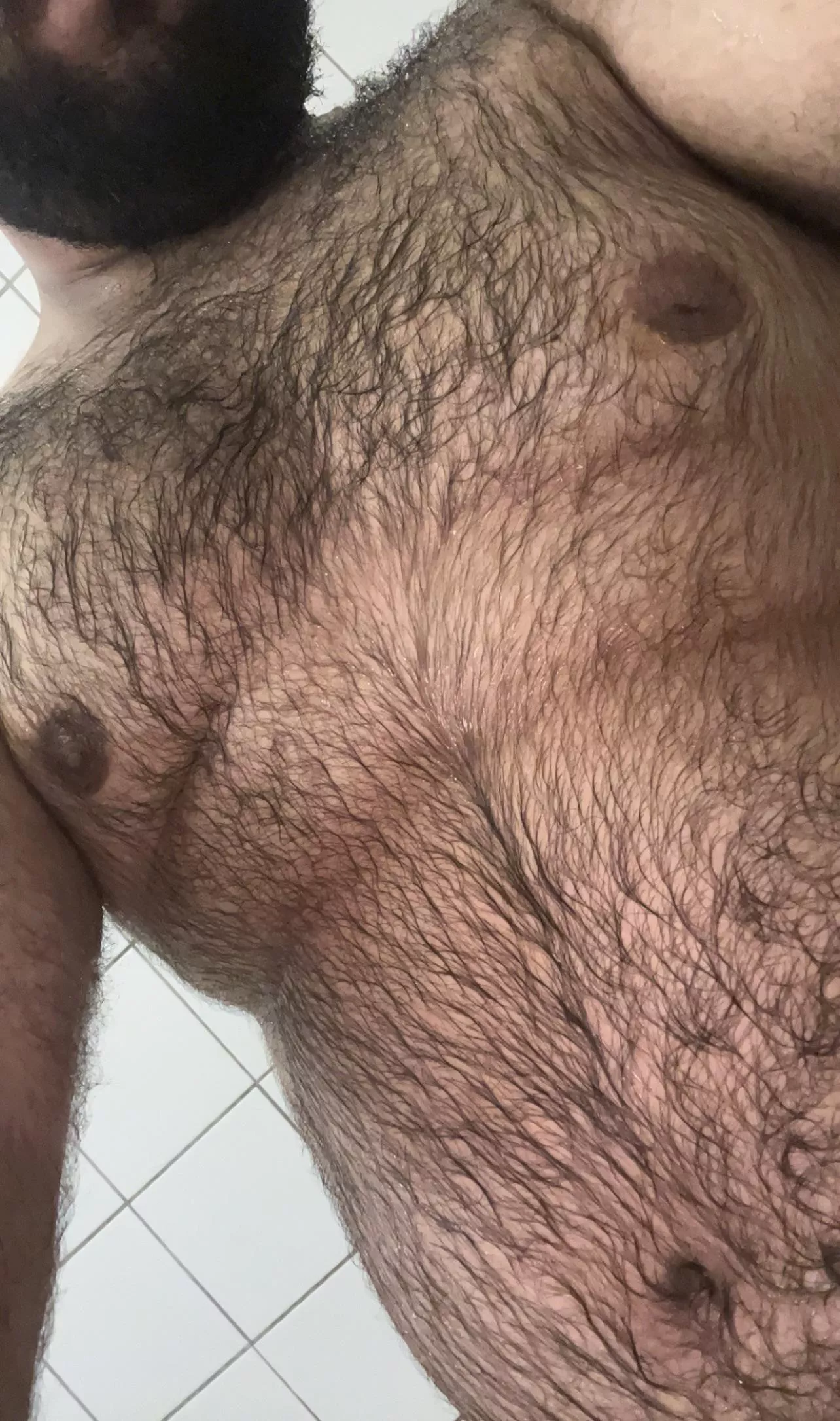 21 bottom bear, is my body hair “too much”? posted by MelAelZel