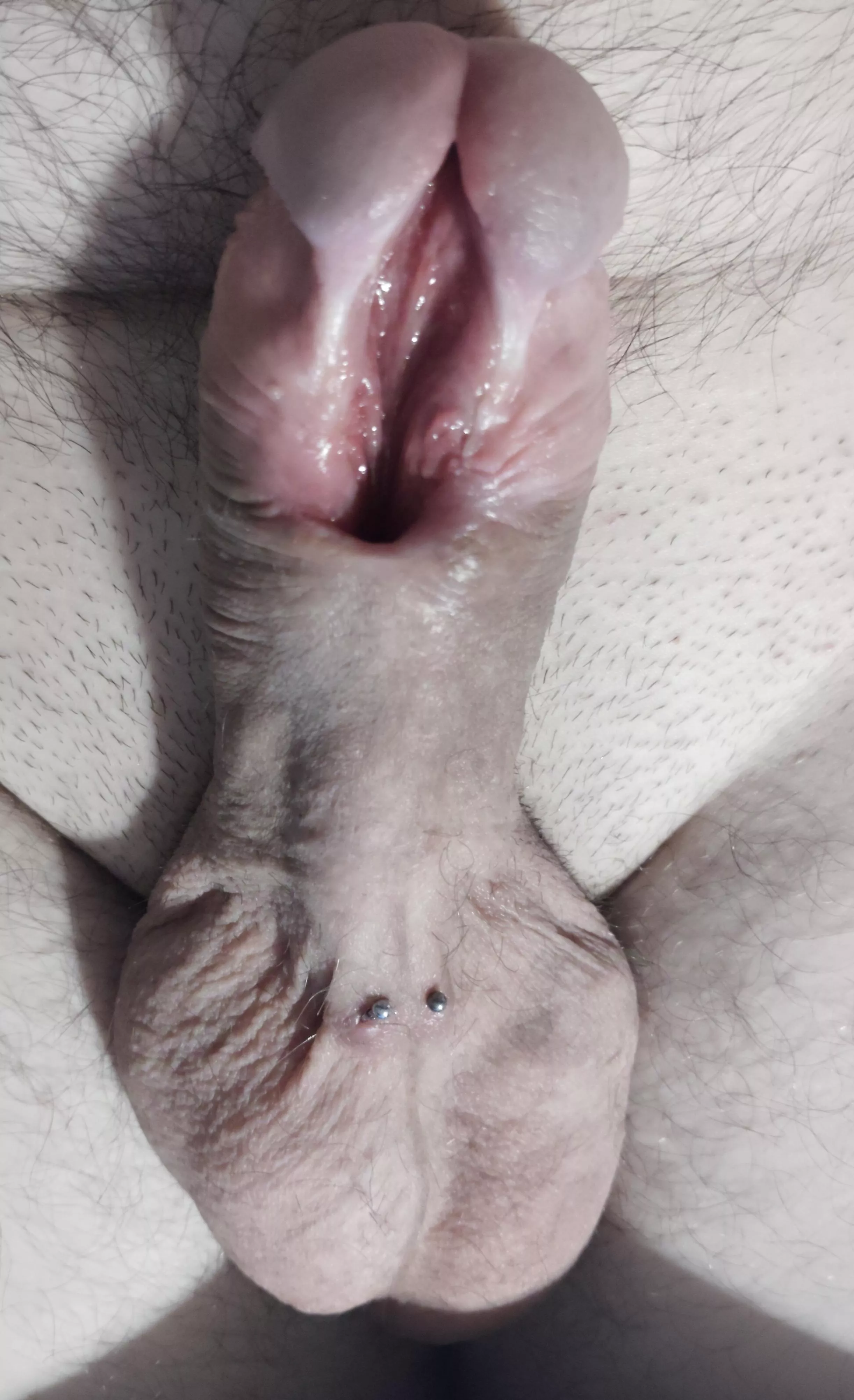 3 weeks after cutting  posted by No_Reference7132