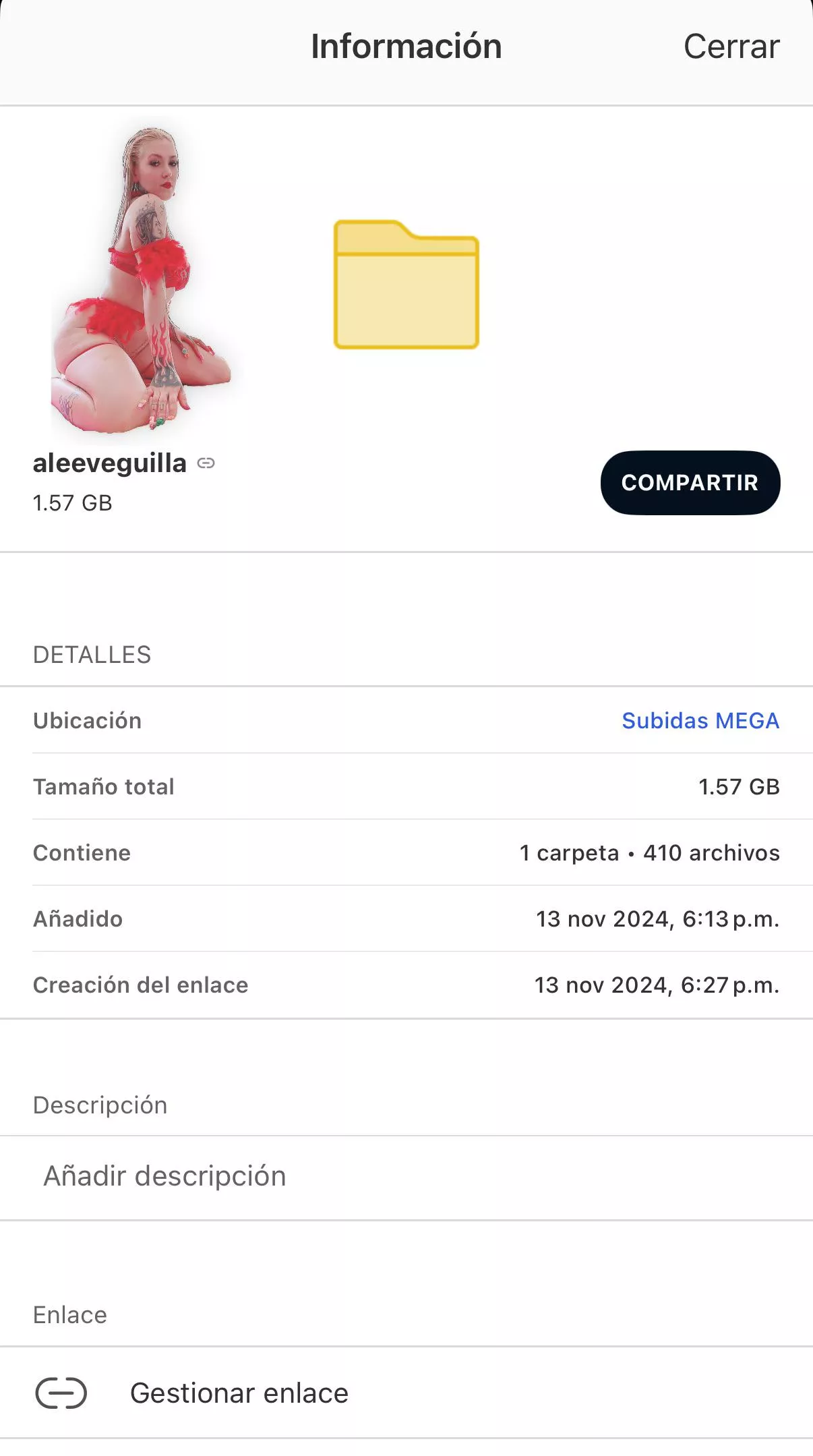 aleeveguilla posted by lukysim5