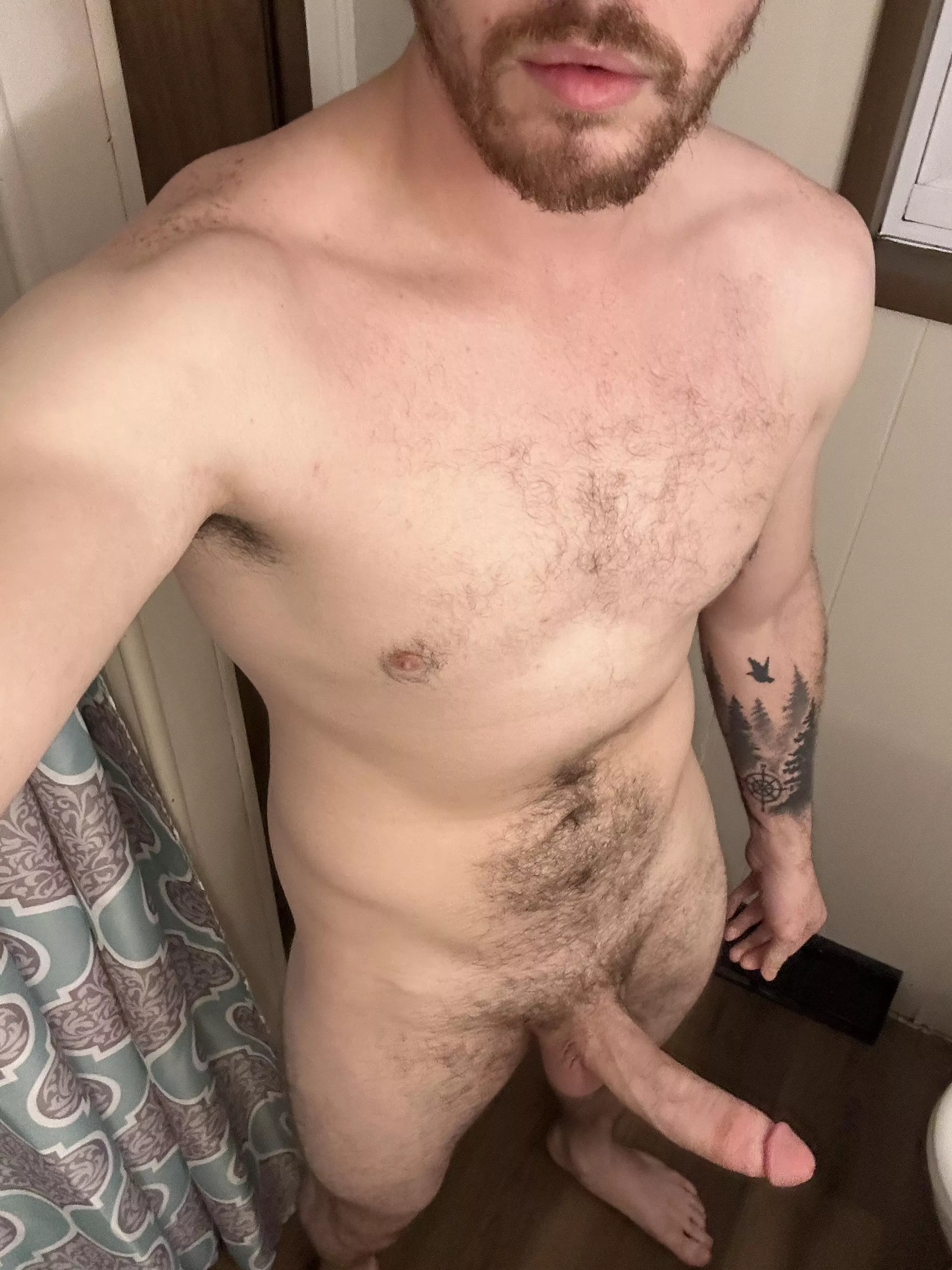 Meet me in the bathroom posted by Intelligent-Team-913