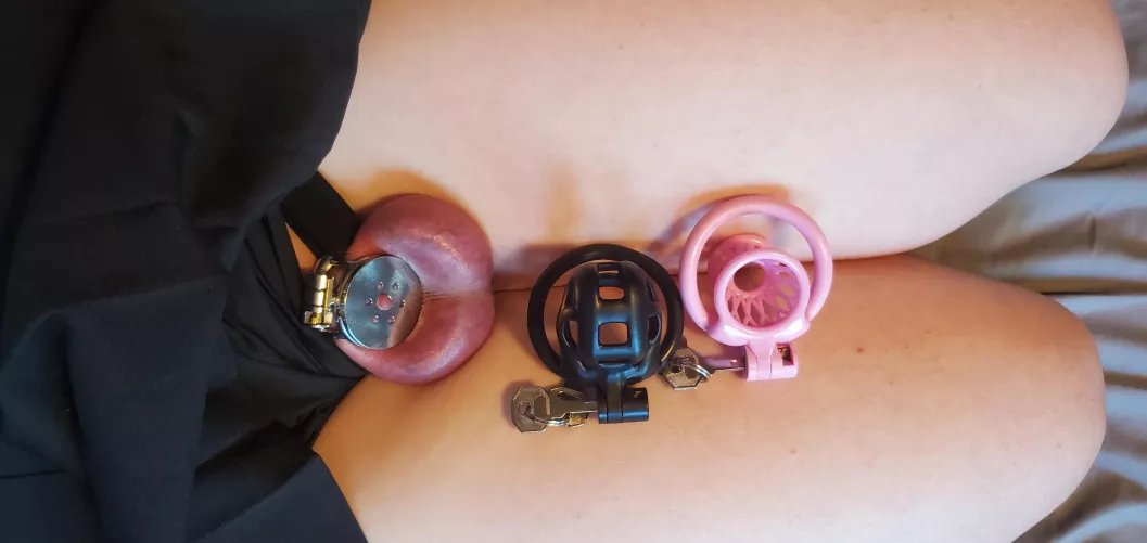 My 3 favorite cages! by Turnipuddle