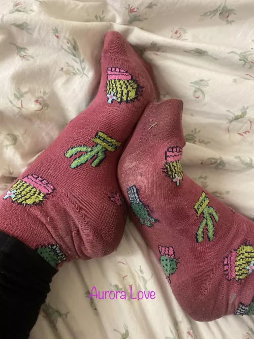 New to this sub hi! My work socks are damp and stinky with sweat 😈 you brave enough to taste? by Aurora-love