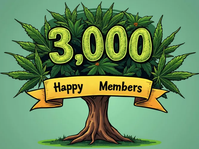 3000 Happy Members!!! by ceo-s-escapades