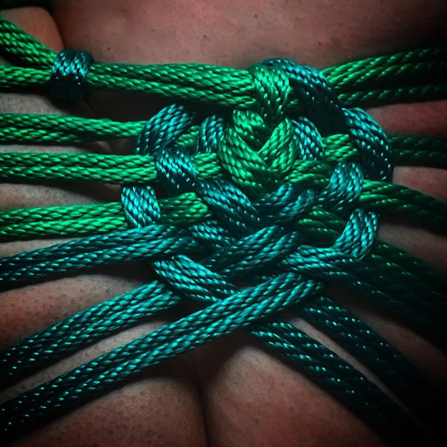 Close ups posted by Efficient-Papaya-489