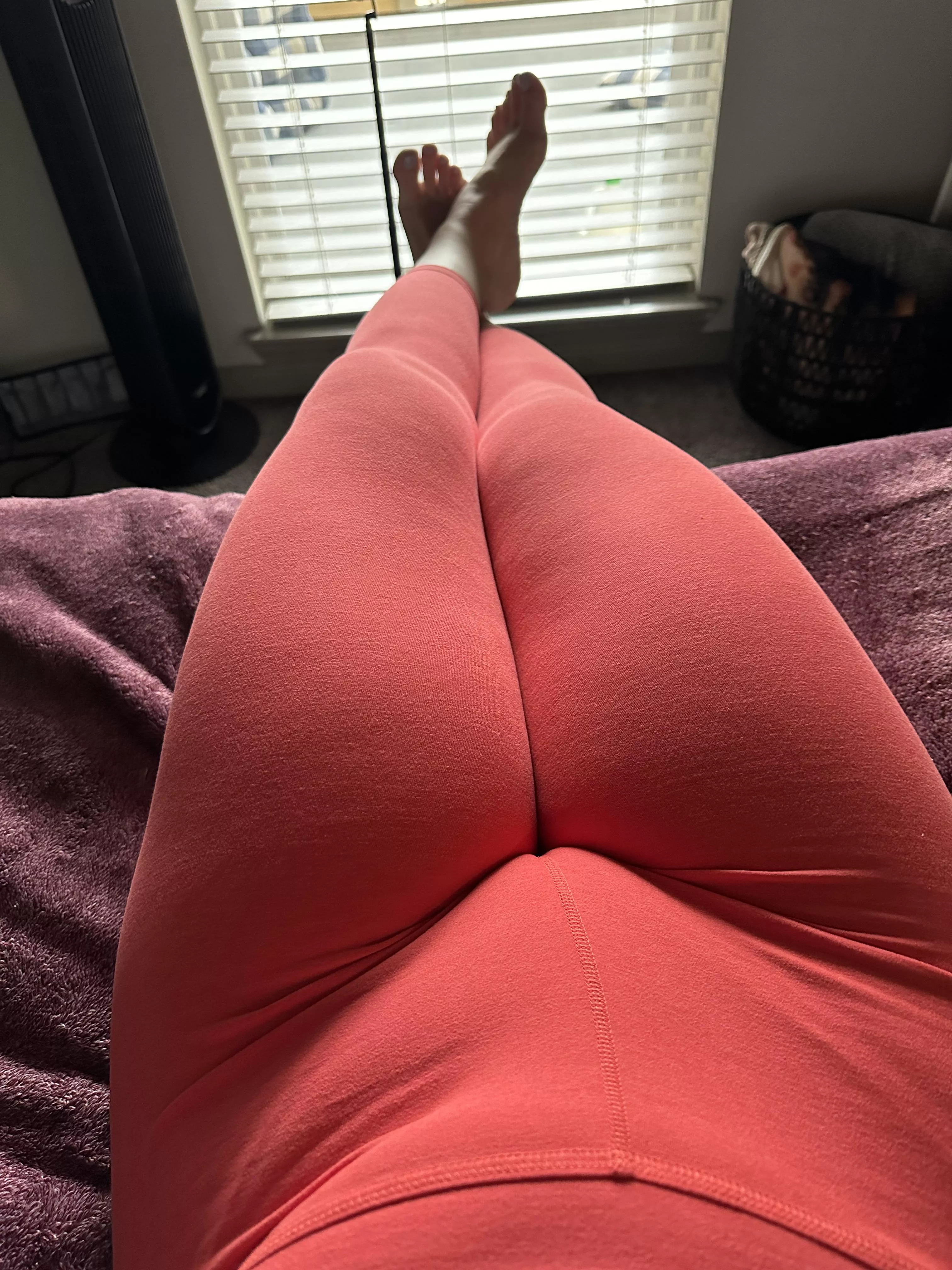 did I hear you say you are hungry? posted by cumwcourt