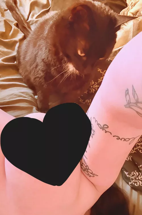 Kitty and a Titty 👀 by BeautifulRayne