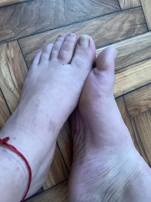 my very filthy feet by bigbitchm