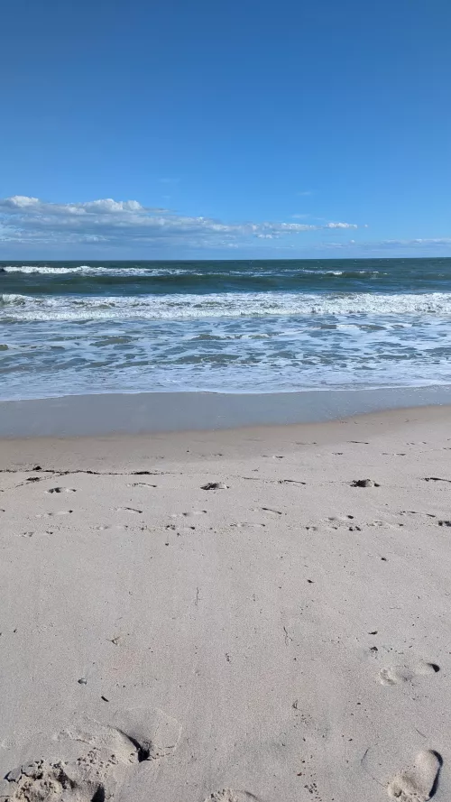 Playalinda Today – Great Time, but a Few Observations... by mickeyblue2022