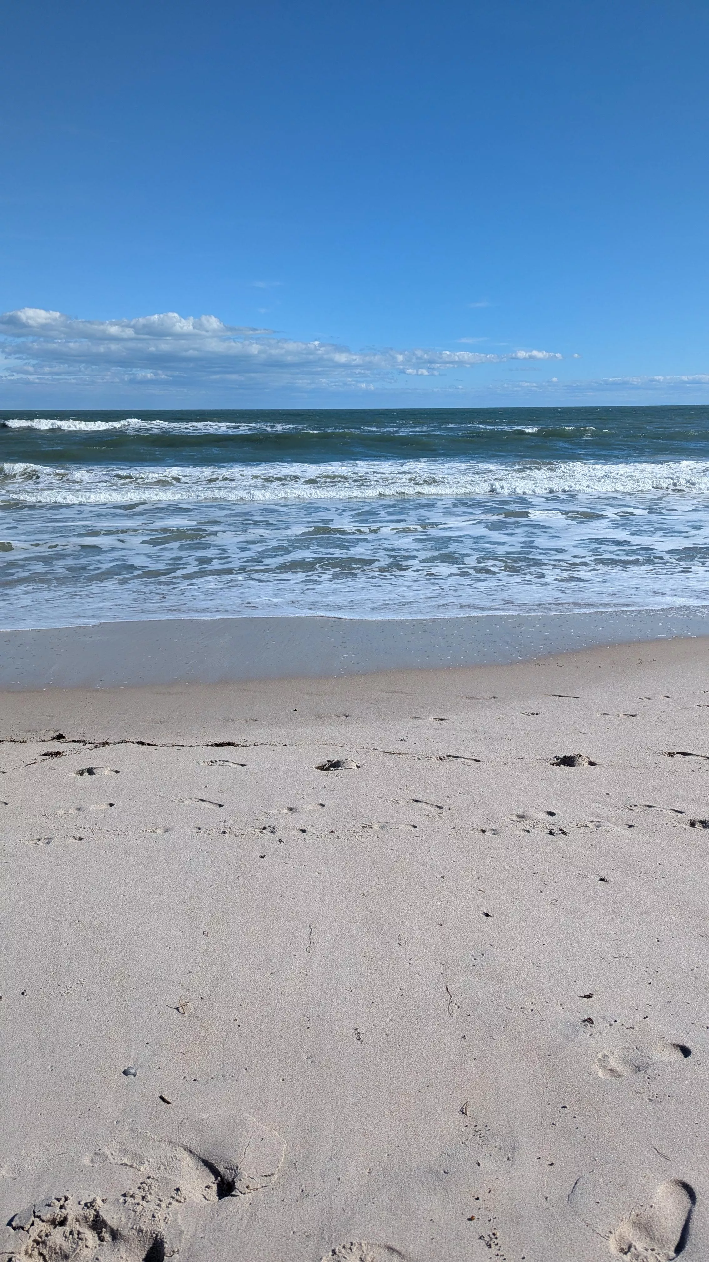 Playalinda Today – Great Time, but a Few Observations... posted by mickeyblue2022